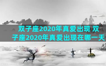 双子座2020年真爱出现 双子座2020年真爱出现在哪一天